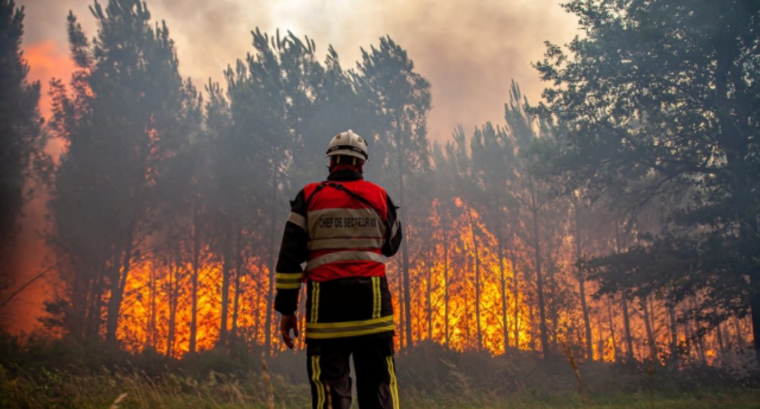 France is burning:  Current situation of the forest fire disaster